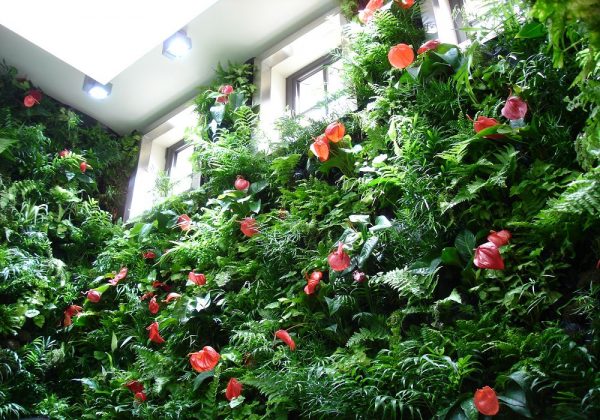 Vườn trên tường – ” chiếc máy điều hòa xanh” cho cuộc sống của bạn