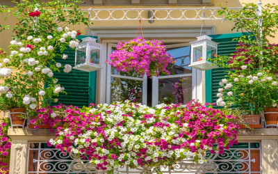 Cập nhật hình ảnh về vườn ươm Babylon (p2)