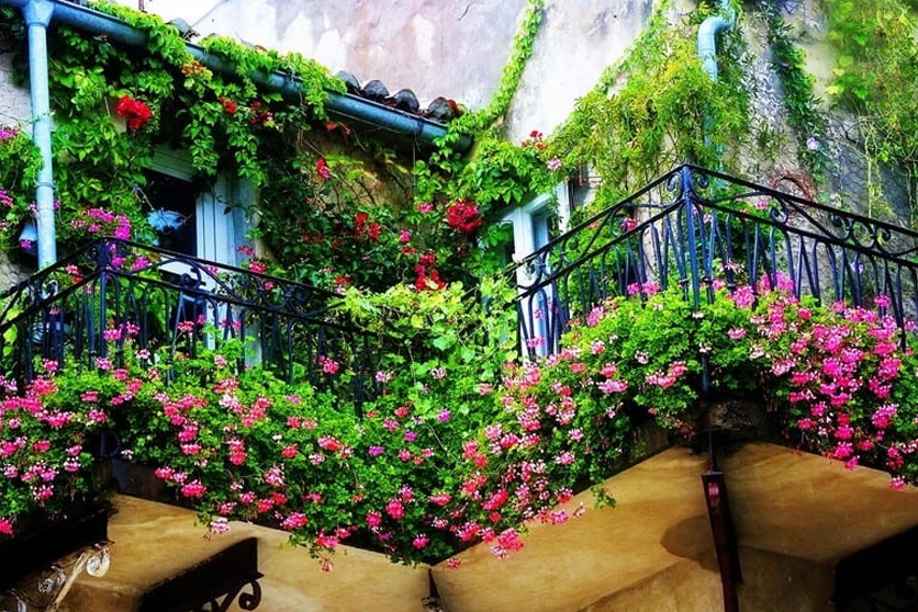 Vườn tường nhà phố, phong cách trang trí mới của giới thượng lưu Hà Nội