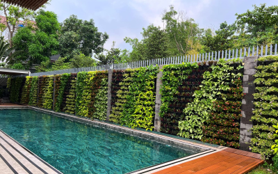 Thi công vườn đứng tại khu bể bơi biệt thự Mỹ Đình II