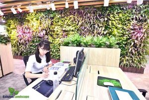 Thi công vườn đứng - vườn tường cho văn phòng xanh