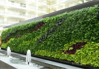 vườn tường xanh giải quyết các vấn đề nhức nhối cho không gian đô thị