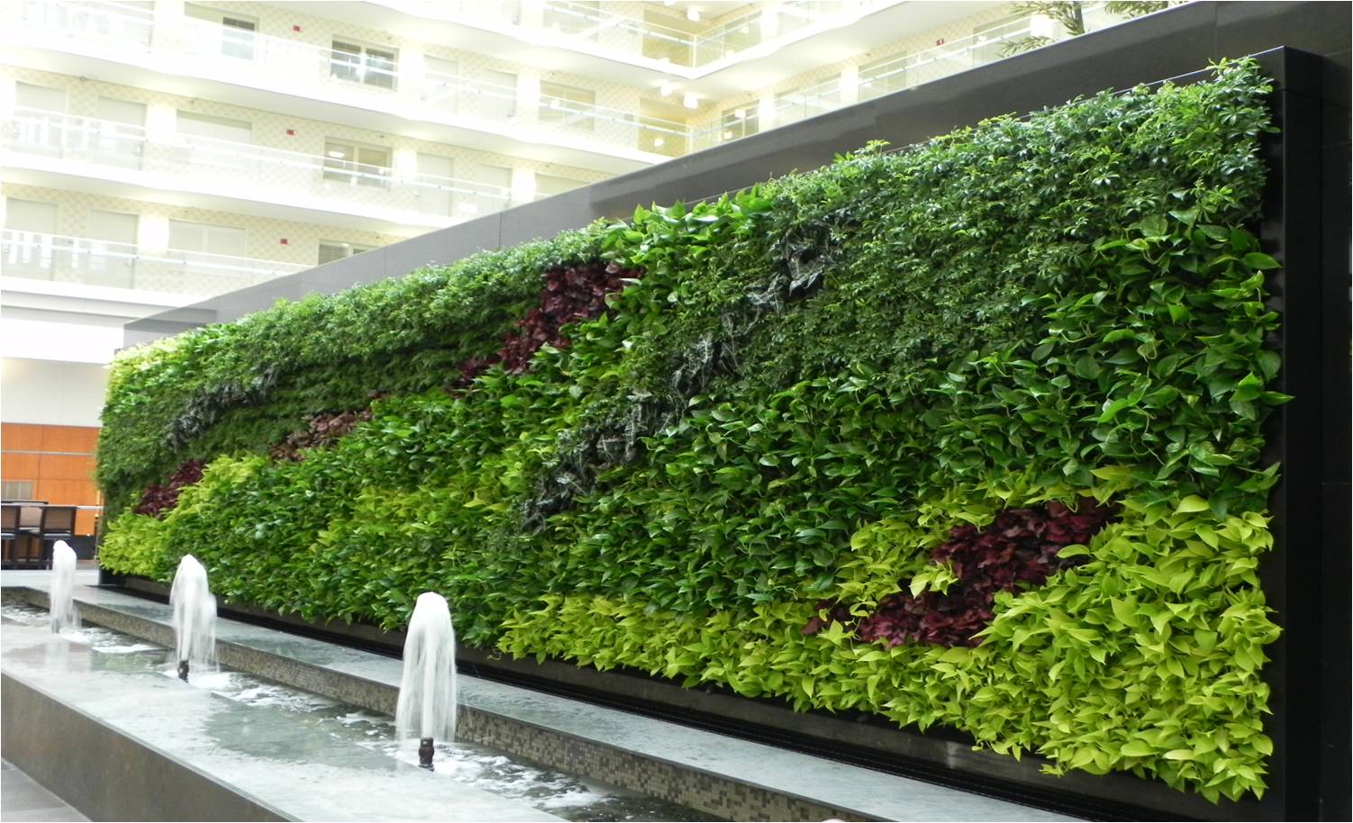 Vườn tường xanh cho không gian phố