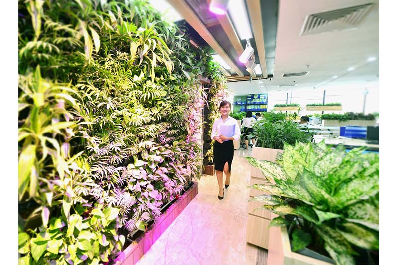 Vườn đứng – vườn trên tường cho văn phòng xanh