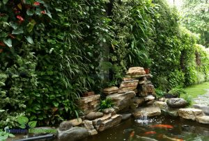 Thi công tường xanh kết hợp sân vườn biệt thự việt trì - Phú Thọ