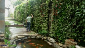 Chăm sóc bảo trì vườn cây theo định kỳ tại Phú Thọ