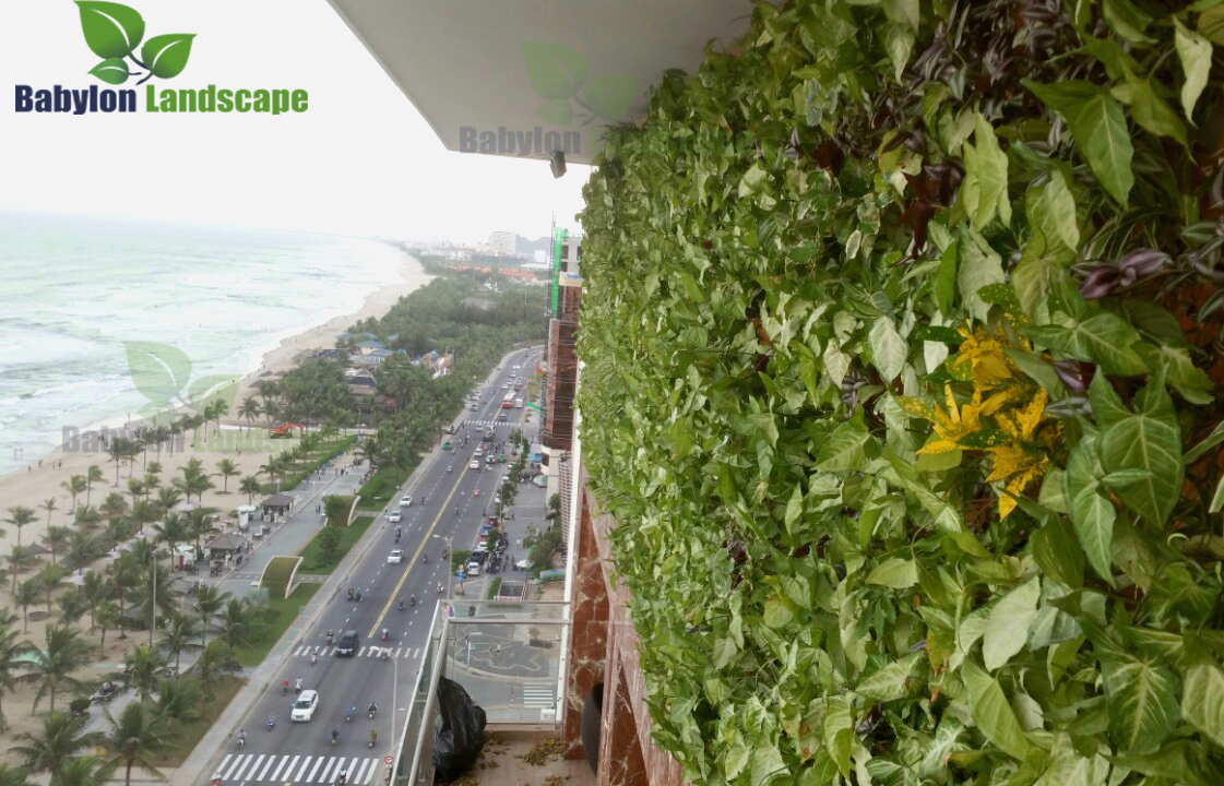 Thi công vườn tường khí canh trên tầng 14 tòa nhà TMS - Đà Nẵng
