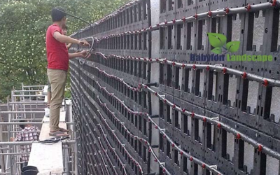 5 lưu ý khi thi công vườn tường cây đứng