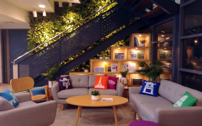 Hỏi đáp: Chăm sóc Vườn thẳng đứng khí canh