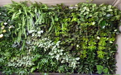 Hệ thống tưới tự động vườn tường đứng