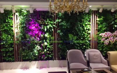 Kỹ thuật chăm sóc tường cây đứng của người thợ Babylon