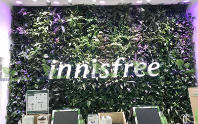 Dịch vụ thi công vườn đứng, vườn treo tường