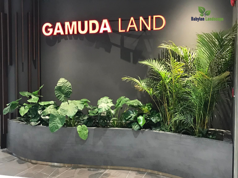 Cung cấp cây xanh văn phòng tại Gamuda