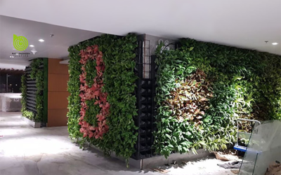 Tại sao nên sử dụng dịch vụ cho thuê cây cảnh?