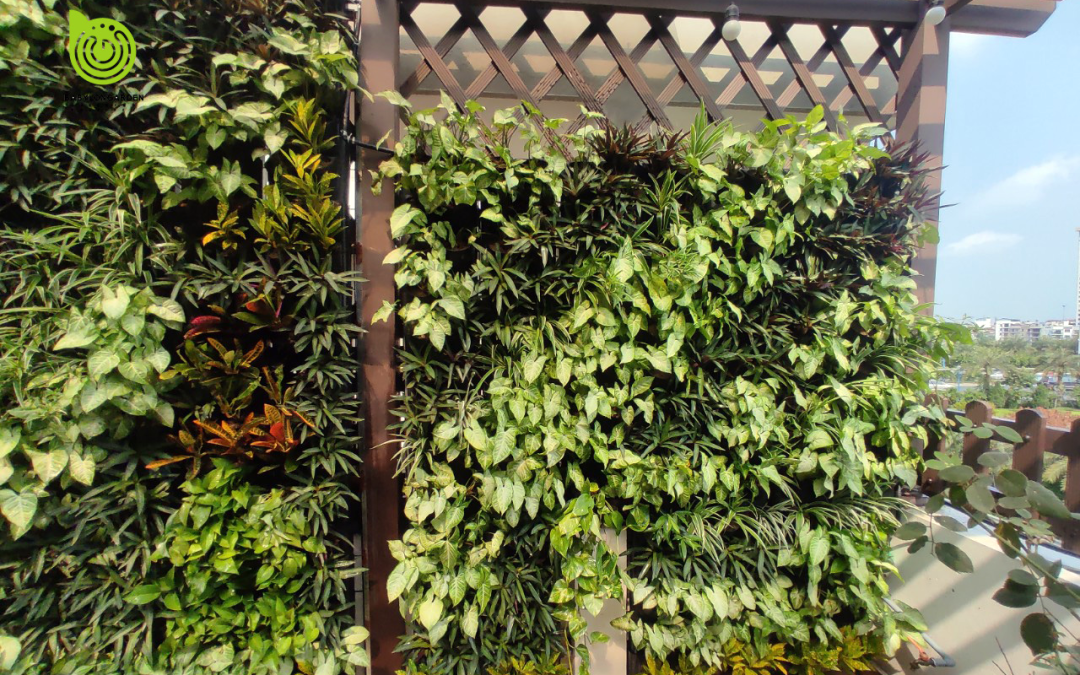 Thi công vườn tường sân thượng cho ngày hè