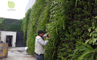 Vườn ươm cây trồng dự bị mang lại lợi ích gì?