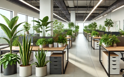 Các loại cây xanh cho thuê văn phòng (P1)