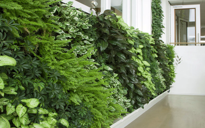 Vườn tường trên mái có lợi ích gì?