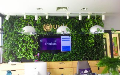 Modul Green Core khác gì so với modul vườn tường truyền thống?