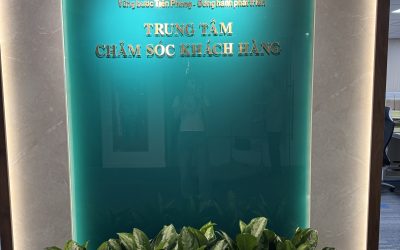 Tiêu chí lựa chọn dịch vụ cho thuê cây xanh uy tín